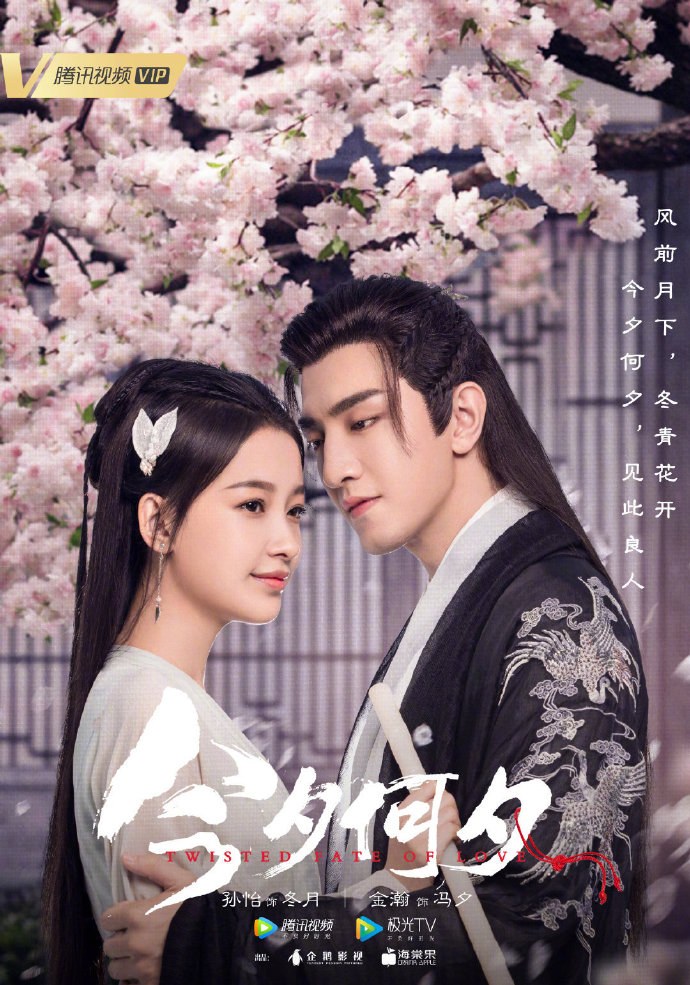 Affiche du drama chinois Twisted fate of love